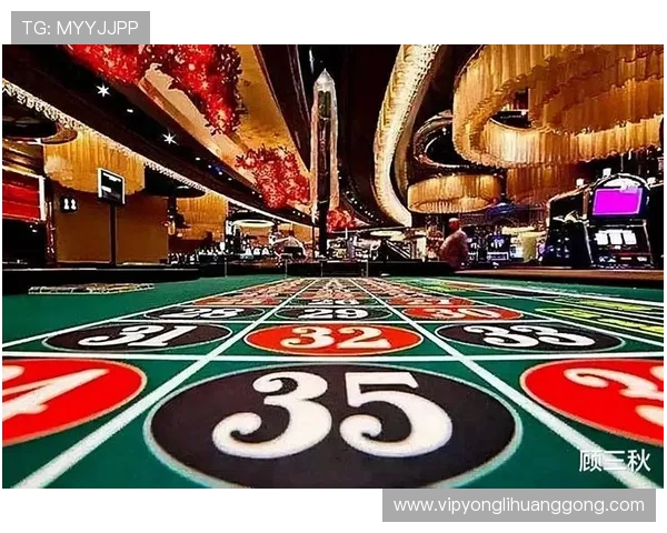 澳门十大博彩排行榜权威发布，详细介绍各大赌场的信誉、服务与优惠活动